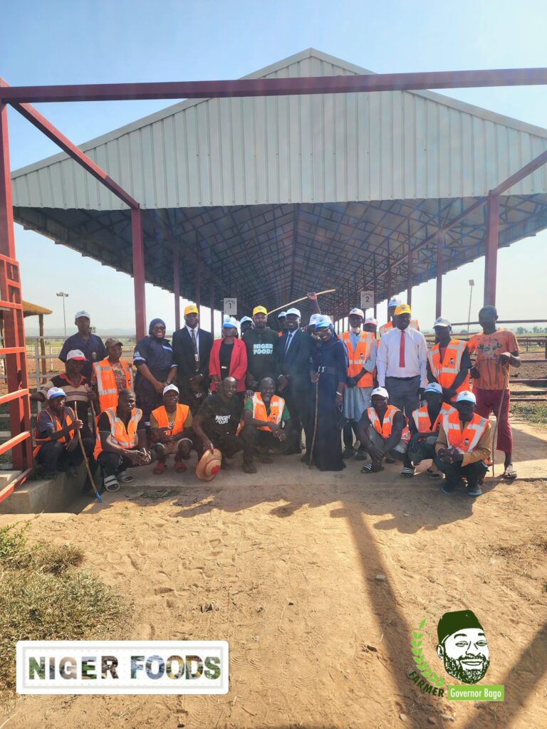 Nigerfoods_Zenith Bank