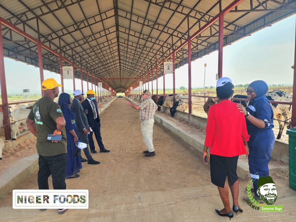 Nigerfoods_Zenith Bank