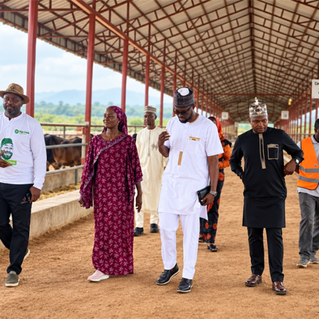 alternate bank inspects nigerfoods facility